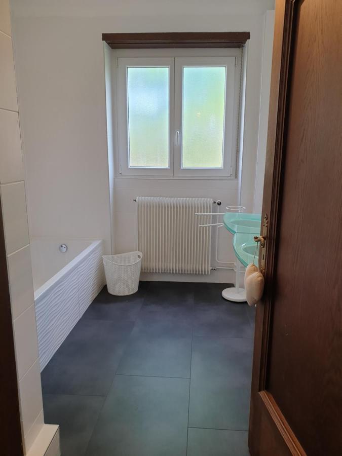 La Tour De L'Ill Villa Strasbourg Ngoại thất bức ảnh